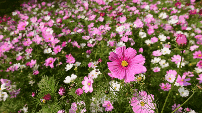 640 (1).gif undefined